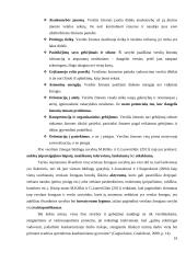 Brandžios asmenybės kriterijai plėtojant verslumo kompetenciją  17 puslapis
