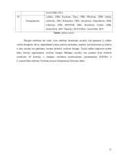 Brandžios asmenybės kriterijai plėtojant verslumo kompetenciją  19 puslapis