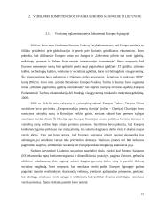 Brandžios asmenybės kriterijai plėtojant verslumo kompetenciją  20 puslapis