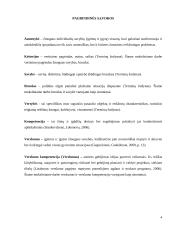 Brandžios asmenybės kriterijai plėtojant verslumo kompetenciją  2 puslapis