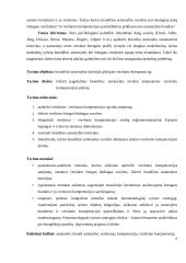 Brandžios asmenybės kriterijai plėtojant verslumo kompetenciją  4 puslapis