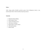 Keraminė kompozicija interjerui „Iš chaoso į ramybę“ 3 puslapis