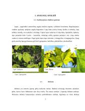 Keraminė kompozicija interjerui „Iš chaoso į ramybę“ 4 puslapis