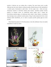 Keraminė kompozicija interjerui „Iš chaoso į ramybę“ 5 puslapis