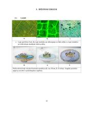 Keraminė kompozicija interjerui „Iš chaoso į ramybę“ 9 puslapis