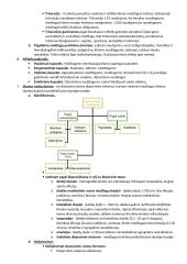 Geras konspektas vaistų technologijoms 3 puslapis