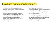 Knygos "Paskutinis Europos šansas" IV skyrius pristatymas 17 puslapis