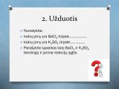 Mainų reakcijų rašymas 3 puslapis