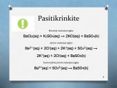 Mainų reakcijų rašymas 4 puslapis