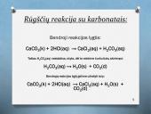 Mainų reakcijų rašymas 5 puslapis