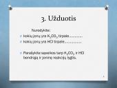 Mainų reakcijų rašymas 6 puslapis