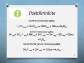 Mainų reakcijų rašymas 7 puslapis