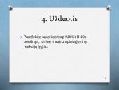 Mainų reakcijų rašymas 8 puslapis