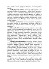 Lietuvių liaudies dainų įvairovė 4 puslapis