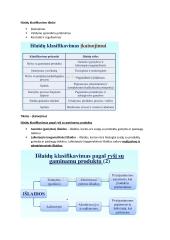 Išlaidų esmė ir klasifikavimas 2 puslapis