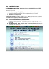 Išlaidų esmė ir klasifikavimas 4 puslapis