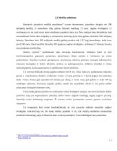 Naujausios priemonės kovoje su klimato kaita pasaulyje 11 puslapis