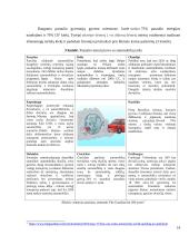 Naujausios priemonės kovoje su klimato kaita pasaulyje 14 puslapis