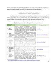 Naujausios priemonės kovoje su klimato kaita pasaulyje 19 puslapis