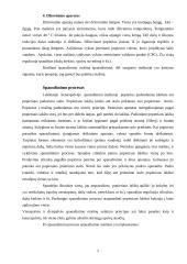 Ofsetinės spaudos mašinos 4 puslapis
