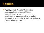 Fosilijos (lot. fossilis 'iškastinis') 2 puslapis