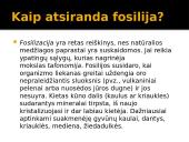 Fosilijos (lot. fossilis 'iškastinis') 3 puslapis