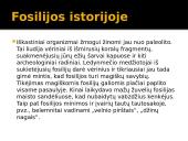 Fosilijos (lot. fossilis 'iškastinis') 4 puslapis