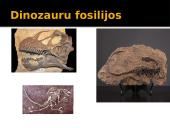 Fosilijos (lot. fossilis 'iškastinis') 5 puslapis