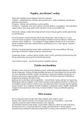 Pirmoji pagalba skirtingais atvejais 4 puslapis