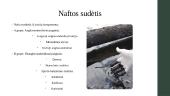 Gamtinės dujos ir nafta 11 puslapis