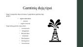 Gamtinės dujos ir nafta 3 puslapis