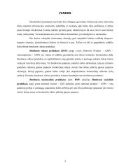 BVP skaičiavimo metodika ir dinamika Lietuvoje 3 puslapis