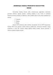 BVP skaičiavimo metodika ir dinamika Lietuvoje 7 puslapis