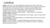 Kaimo žmonių paveikslai 5 puslapis