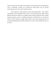 Praktikos ataskaita įmonėje UAB "Kaukas"  10 puslapis