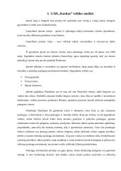 Praktikos ataskaita įmonėje UAB "Kaukas"  5 puslapis