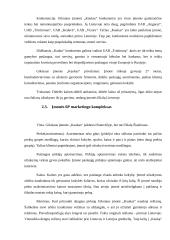 Praktikos ataskaita įmonėje UAB "Kaukas"  9 puslapis