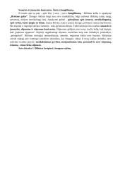 Tautos moralės tema lietuvių literatūroje 2 puslapis