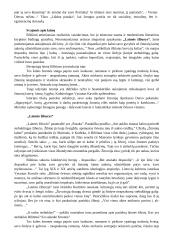 Jono Biliūno kūrinių konspektas 4 puslapis