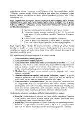 Tarptautinės teisės sąvoka ir ypatumai 2 puslapis