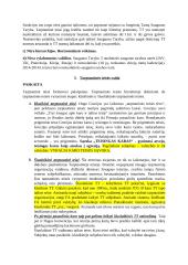 Tarptautinės teisės sąvoka ir ypatumai 3 puslapis