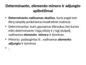 Determinantai 2 puslapis