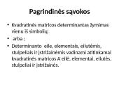 Determinantai 3 puslapis