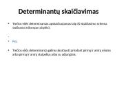 Determinantai 5 puslapis