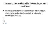 Determinantai 6 puslapis