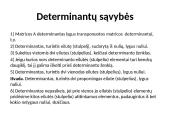 Determinantai 7 puslapis