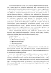 Aerofotonuotraukų dešifravimas 2 puslapis