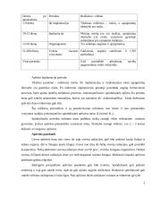 Prenatalinės apšvitos poveikis 5 puslapis