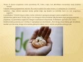 Aborto problematika Lietuvoje 12 puslapis