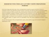 Aborto problematika Lietuvoje 13 puslapis